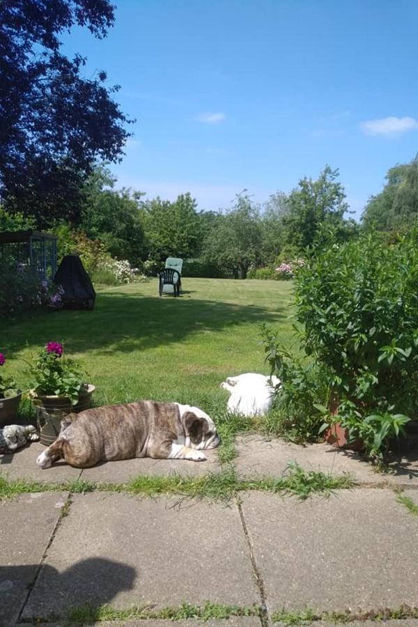 Twenty Bed & Breakfast Skellingthorpe Bagian luar foto