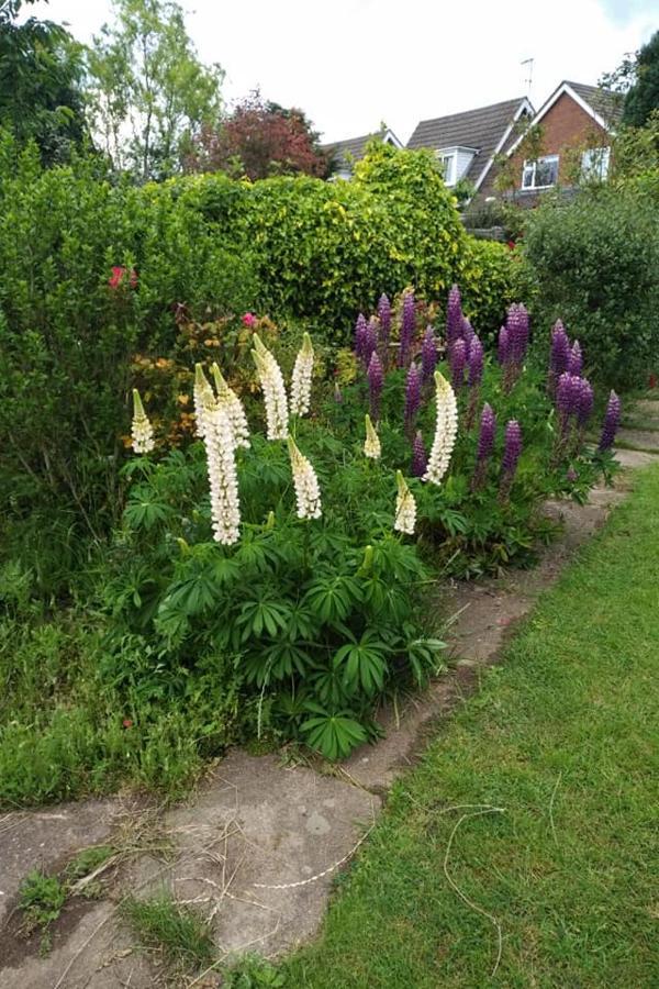 Twenty Bed & Breakfast Skellingthorpe Bagian luar foto