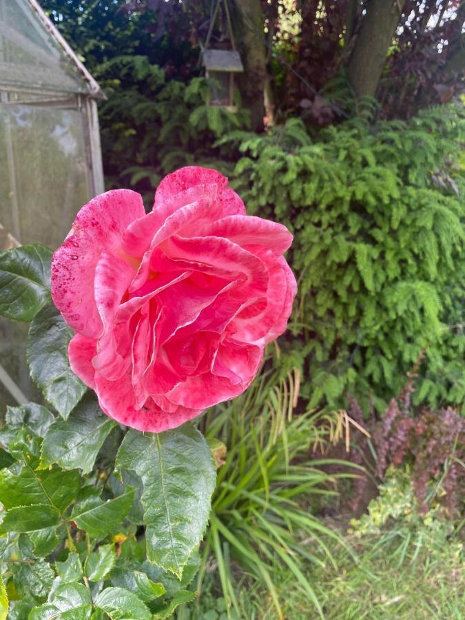 Twenty Bed & Breakfast Skellingthorpe Bagian luar foto